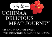 うちなー美味（まーさん）肉紀行　沖縄の美味（まーさん）肉を知る、味わう